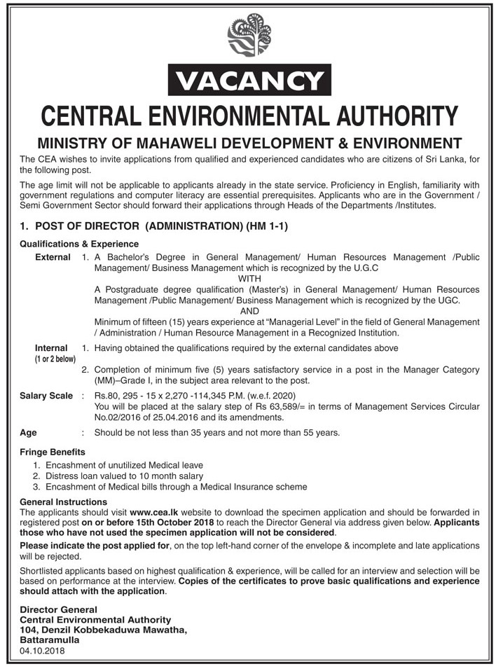 Director - Central Environmental Authority